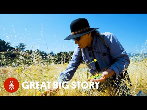 CNN’s Great Big Story, street foraging with Christopher Nyerges.