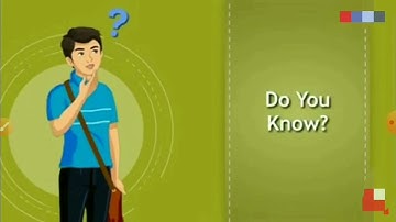 EVS I L- 21 Busy at Work- Our Internal Organs ( continued.....)