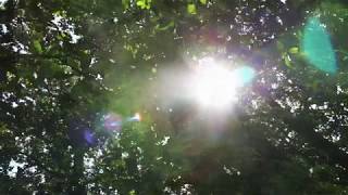 Sacred Feminine 444 Portal Light Codes Activation Transmission