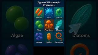 Types of Microscopic Organisms | Biology Facts #shorts