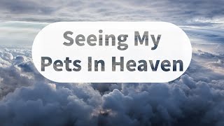 Seeing My Pets In Heaven