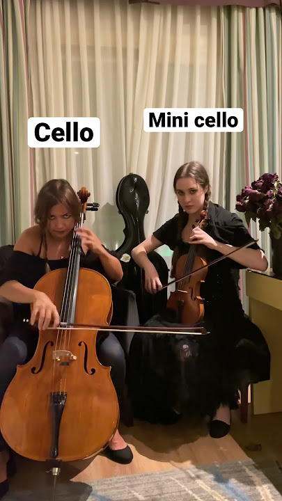 😳🔥PAINT IT BLACK (from WEDNESDAY) on the CELLO and MINI CELLO😂🎻