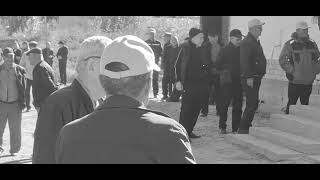 ДТП Авария алматы бишкек погиб 8 человек