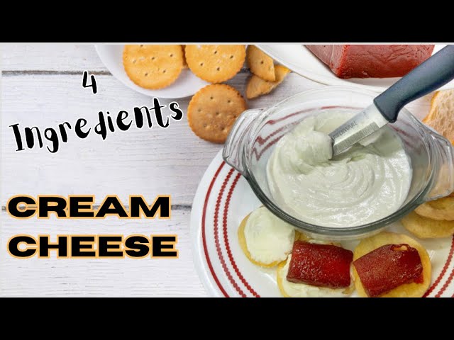 Homemade Cheese Recipe (4 Ingredients) - Momsdish