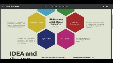 IDEA and IEP process by Jailah Mason