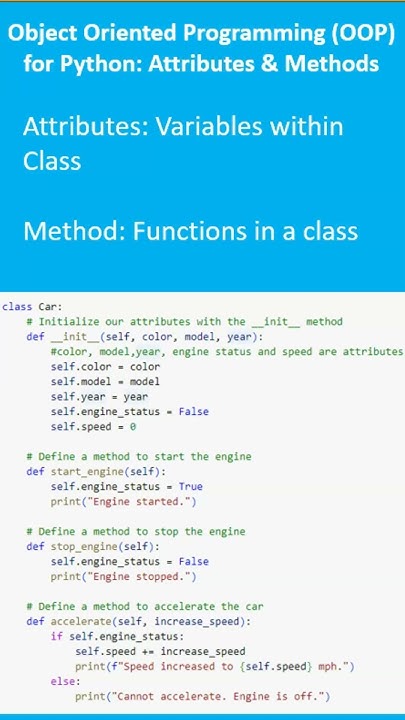 Attribute and Method in Object Oriented Programming | Python - YouTube