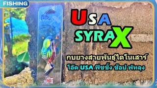 USA SYRAX - กบพิเศษสายพันธุ์ไดโน ตีแรงดังถึงดึกดําบรรพ์ I Adrenaline [4K]