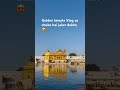 #youtubeshorts #youtube #shortvideo #shortsfeed #youtuber #vlog #vlogger #golden #goldentemple