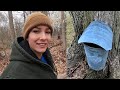 Collecting Sap, Maple CREAM and Lots of Syrup