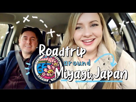 JAPAN VLOG | one-day roadtrip + the pokemon hunt continues 👀