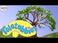 Youtube Thumbnail Teletubbies Magical Event: The Magic Tree - Clip