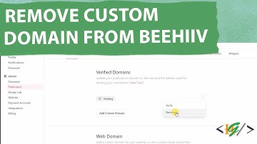 How to Remove Custom Domain from Beehiiv