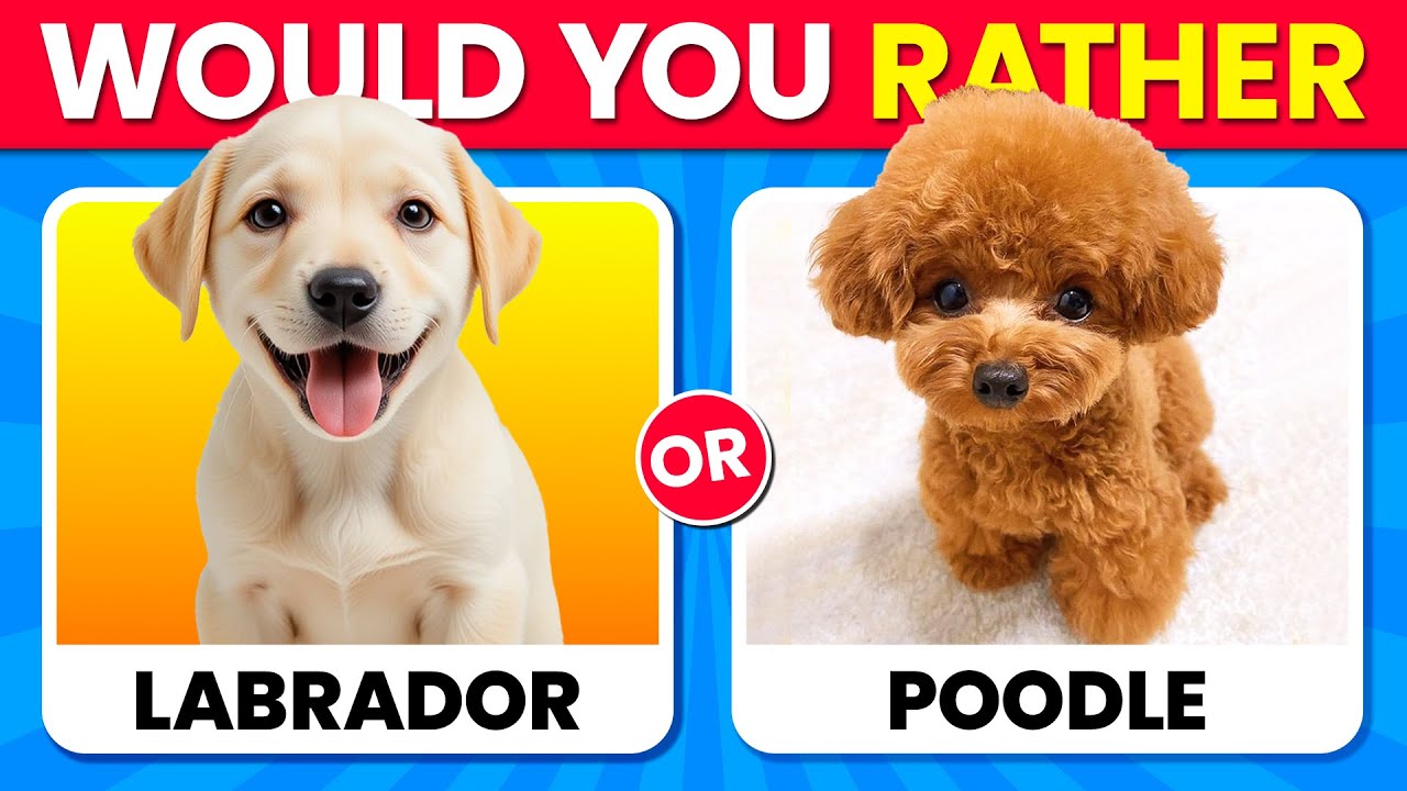 Would You Rather...? DOGS Edition 🐶🐕🐾 Which Dog is Cuter? ❤️🌈✨