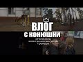 ОТКЛЮЧИЛИ СВЕТ В КОНЮШНЕ | ДЕНЬ ТРЕНЕРА | Влог с конюшни