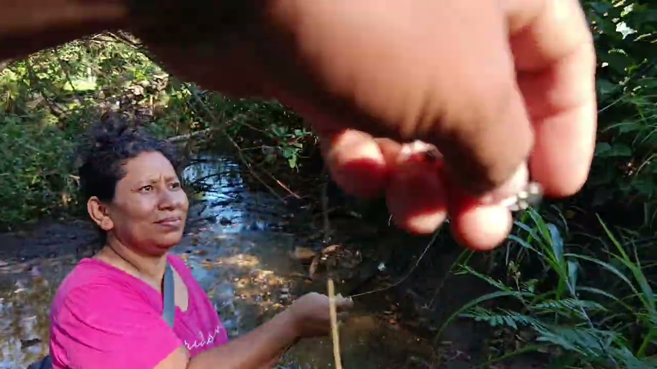 👍🎣🇨🇷 amigos comenten desde donde  ven mis videos 😉😉