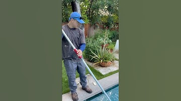 SNAKES | Adventures of Andy’s Pool Service S1E14