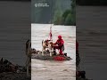 Cow Rescue