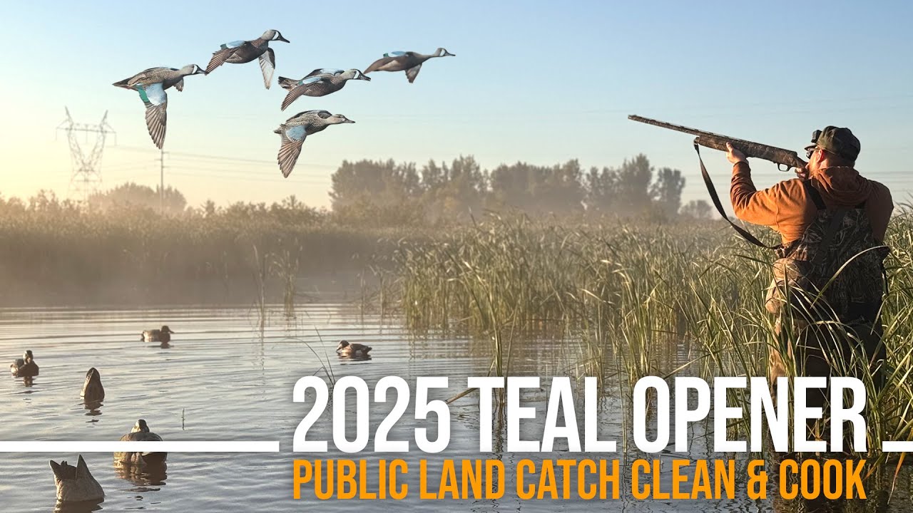 Early Teal Opening Weekend 2025! Duck Hunting Public Land! | Catch Clean & Cook!