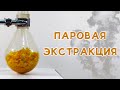 ПАРОВАЯ ЭКСТРАКЦИЯ. Апельсиновое масло - получение