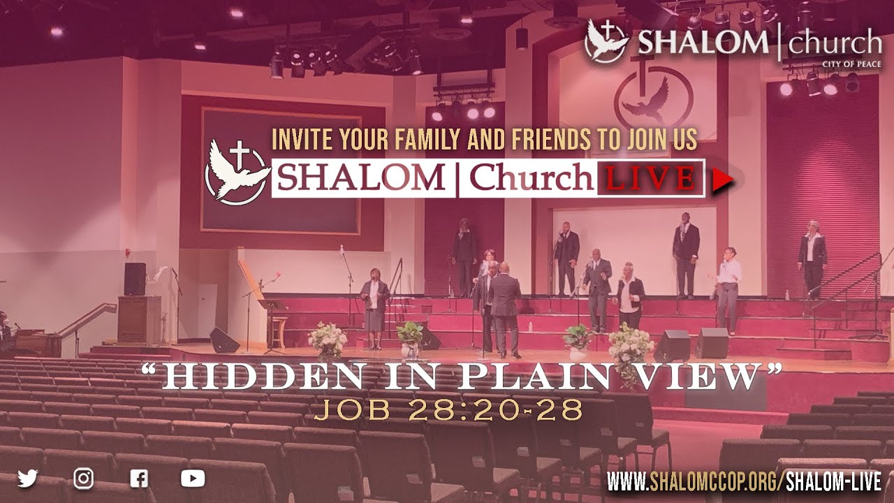 Hidden in Plain View  Job 