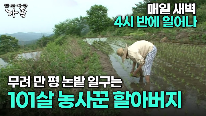 [다큐 ‘가족’ 178회 1부] 매일 새벽 4시 반에 일어나 무려 만 평 논밭 일구는 101살 할아버지