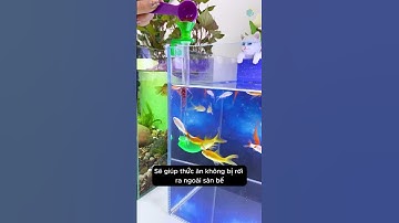Chiếc ống đặc biệt giúp cho cá ăn không lo bị ôi nhiễm nước và lãng phí #aquarium #youtubeshorts