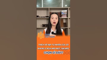 Yêu thích vẻ đẹp của gỗ tự nhiên nhưng e ngại mối mọi, ẩm mốc thì hãy chọn sàn gỗ công nghiệp
