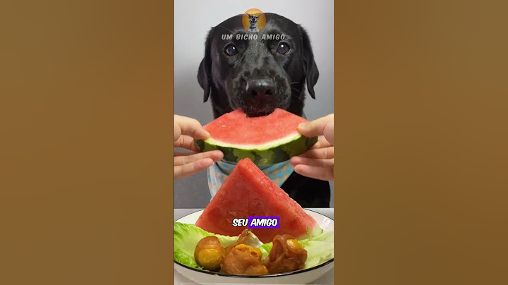3 Amazing Foods Your Dog Can Eat!
