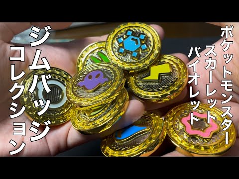 ポケモンSV」高級パルデアジムバッジきたぞおおお「ジムバッジ