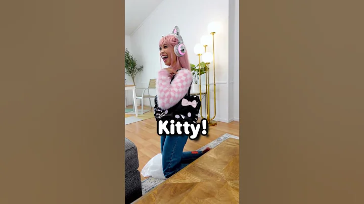 Temu but I only ordered Sanrio! #temu #sanrio #shorts