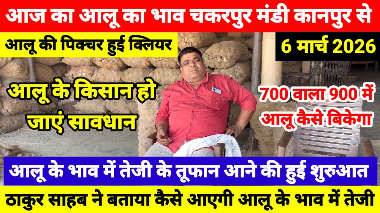 6 March // आज का आलू का भाव चकरपुर मंडी कानपुर का ठाकुर साहब ने बताया कैसे आएगी आलूर के भाव में तेजी