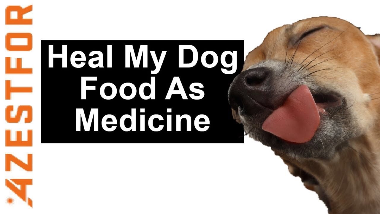 Making Homemade Dog Food 🐾🐩 - YouTube