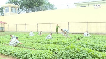 Bảo đảm việc xét đặc xá công khai, minh bạch, chặt chẽ