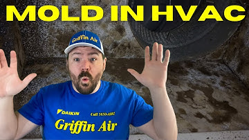 MOLD in HVAC System or Ductwork!