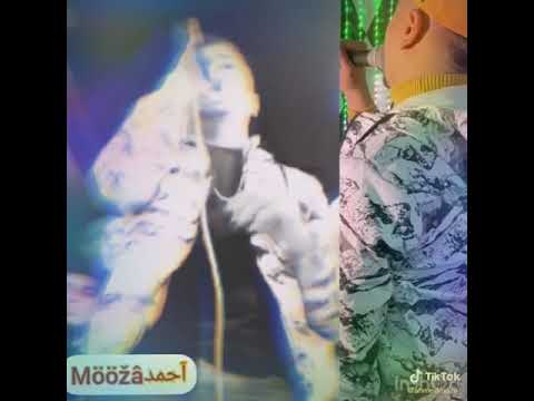 حالات واتس عليت ف اشكال بيئة