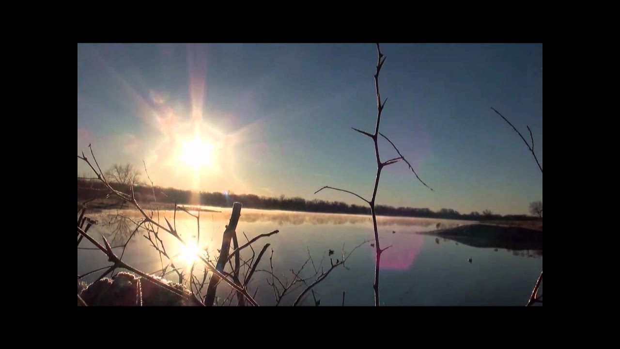 NORTH TEXAS DUCK HUNTING AT SEALS LAKE 