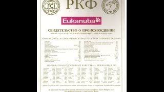 Зачем нужна родословная? Зачем нужна родословная?