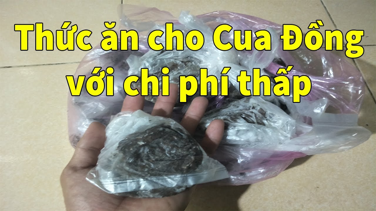 thuc an cho 2022 Thức ăn cho Cua Đồng với chi phí thấp | Trang Trại An Xuyên