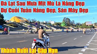 Đà Lạt Sau Mưa Mịt Mù Là Nắng Đẹp Xe Thành Bưởi Lại Gặp Hạn