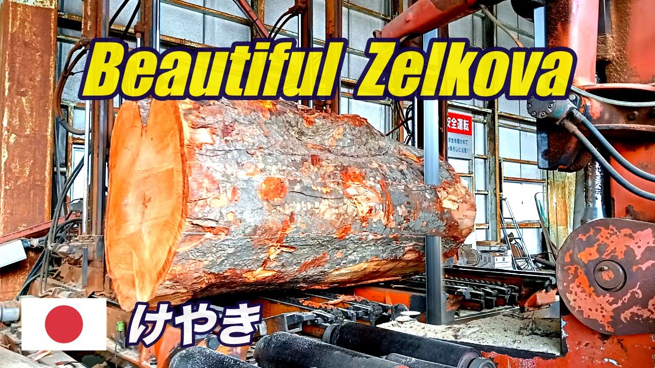 けやきの製材・Japanese Zelkova - YouTube