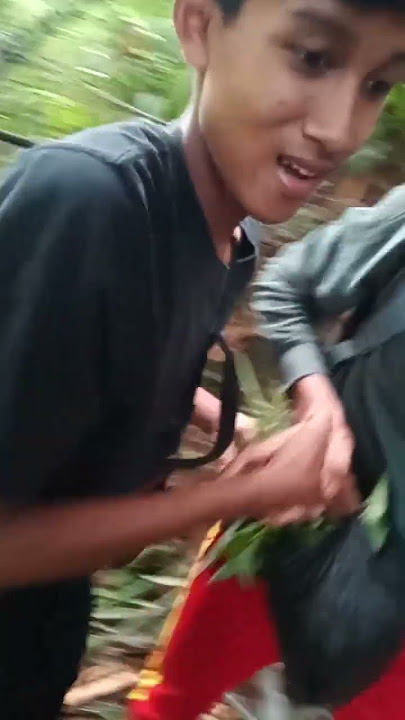 melanjitkan ke rumh pohon jalannya yerjal