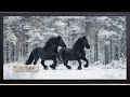 Frame TV Art Two Black Friesian Horses Galloping In Snow Winter Screensaver TV Art 