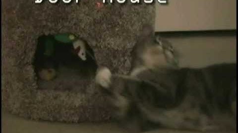 Feline Fun Park: A Distributed Tangible Interface for Pets and Owners