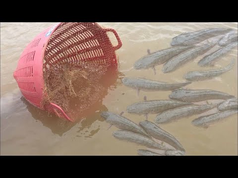 Видео: Как се правят капани за риби