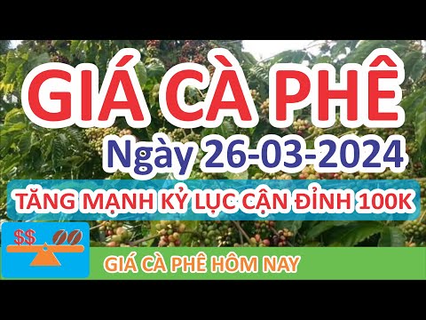 Giá cà phê hôm nay ngày 26/03/2024 