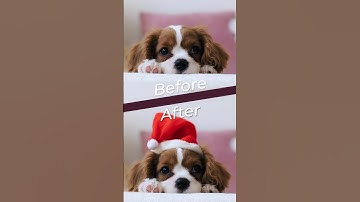 Photoshop Generative AI Top Trick #generativeai #photoshopai #photoshoptricks