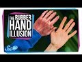 How Well Do You Know Your Own Hand?