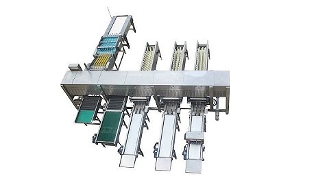 ZENYER 107 egg grader with auto-packers