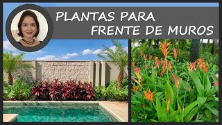 Plantas para frente de muros | Valéria Medina
