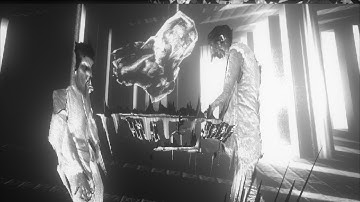 OBSERVANCE_003 VISUAL DOCUMENTATION